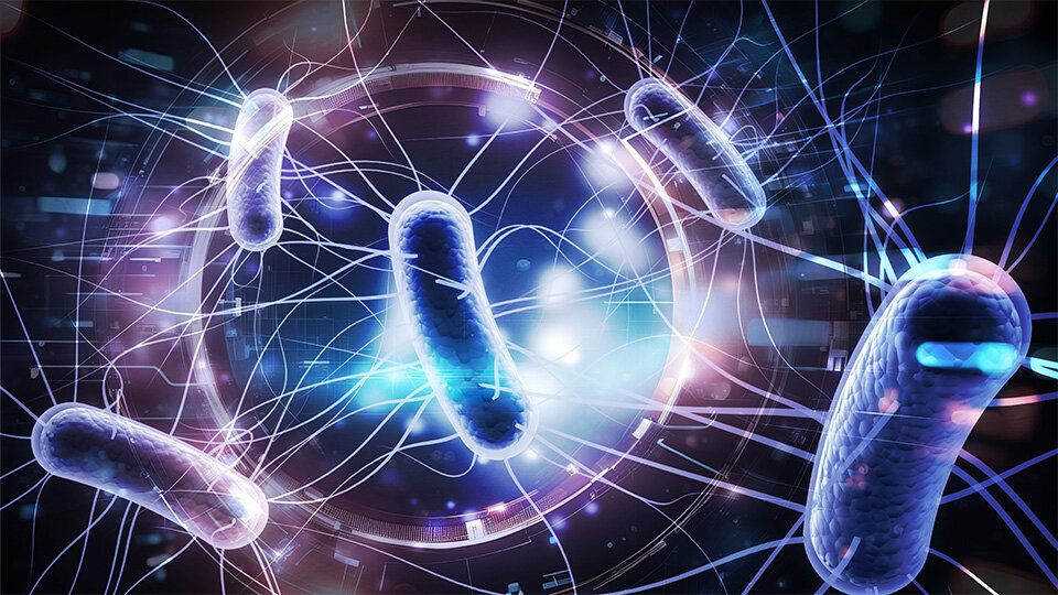 Green Chemistry: Friendly Bacteria Can Unlock Hidden Metabolic Pathways in Plant Cell Cultures